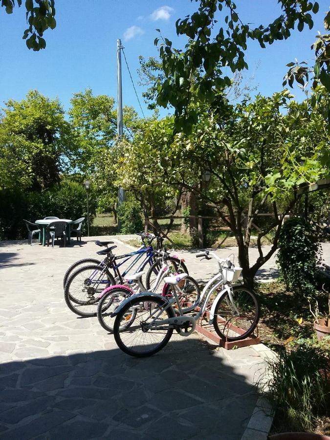 Country House L'Ippocastano Altavilla Silentina Dış mekan fotoğraf